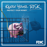 know your risk - protect your money